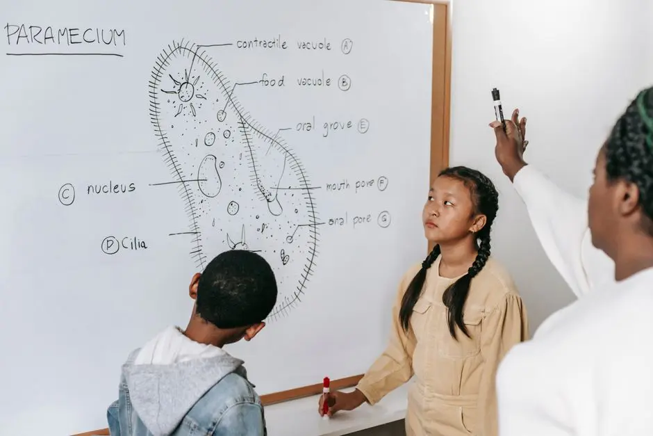 Ilustrasi siswa belajar di bimbel murah